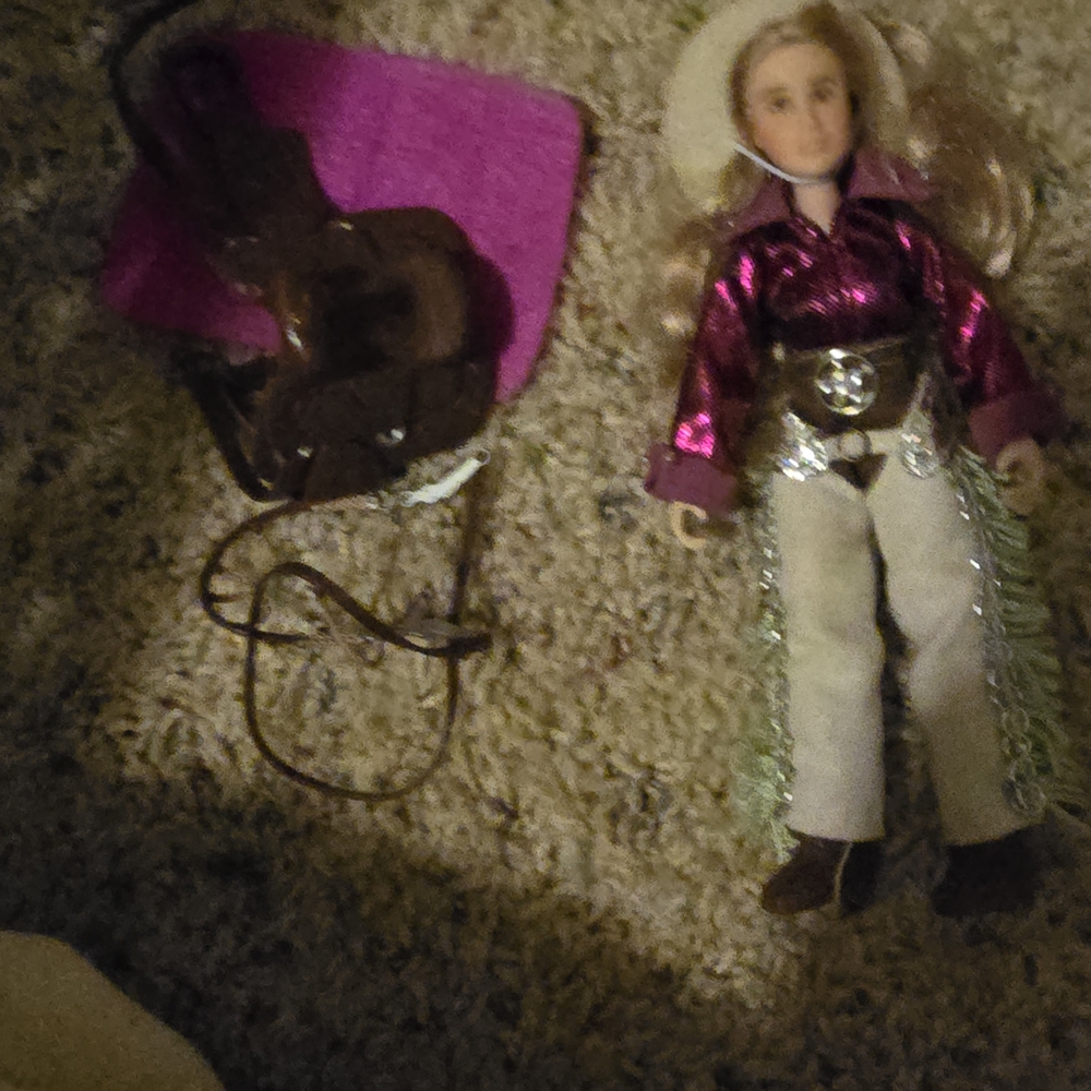 Cowgirl Doll with Pink Outfit and Accessories